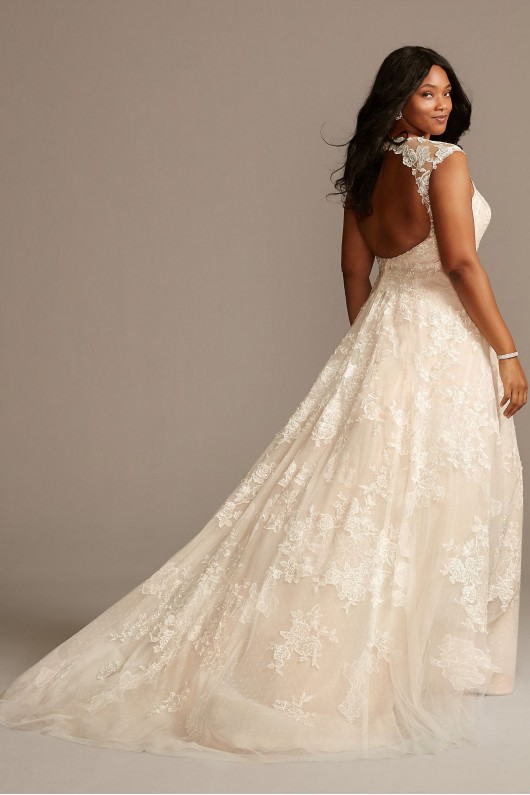 Applique Point DEsprit Plus Size Wedding Dress  Collection 9WG3980