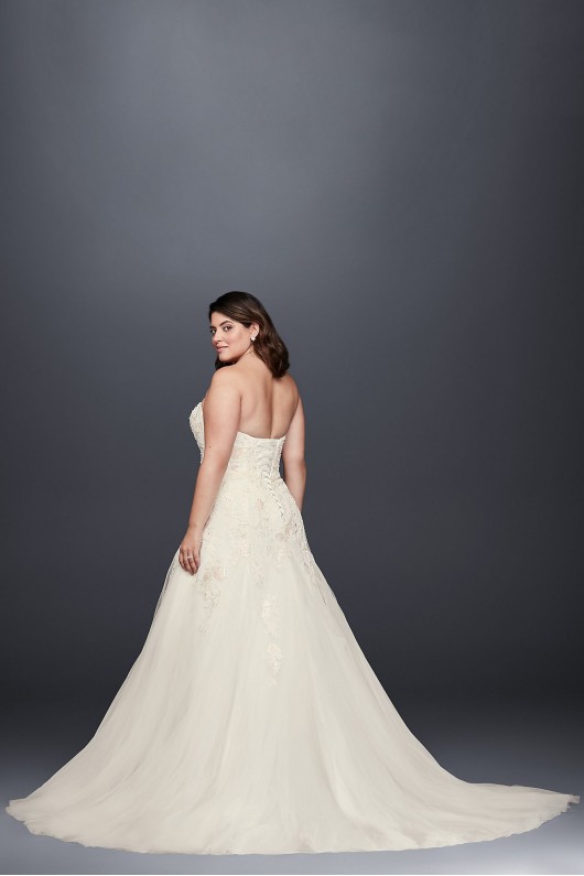 Appliqued Tulle A-Line Plus Size Wedding Dress  Collection 9WG3862