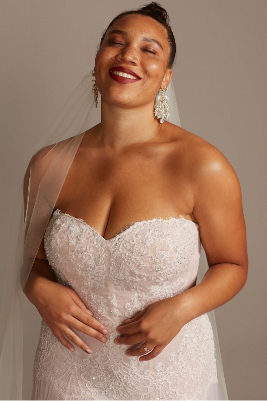 Banded Lace Point DEsprit Plus Size Wedding Dress Melissa Sweet 8MS251204