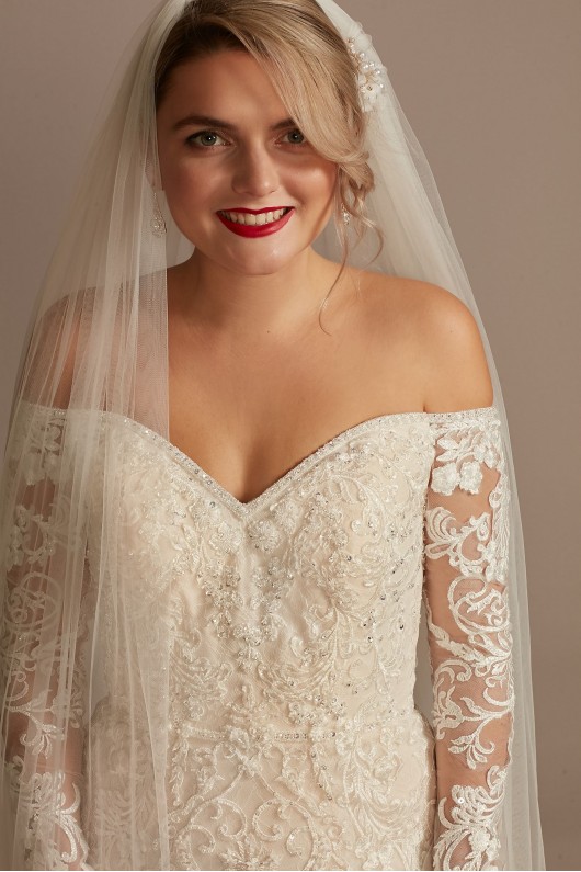 Beaded Lace Long Sleeve Tall Wedding Dress  4XLSLXTCWG808