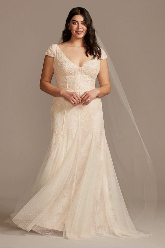Cap Sleeve Point DEsprit Plus Size Wedding Dress Melissa Sweet 8MS251230