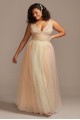 Embellished Illusion Multi-Color Plus-Size Gown Glamour by Terani 2011P1012W