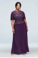 Flutter Sleeve Sequin Lace Plus Size Dress Le Bos 29168