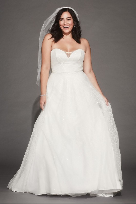Gradient Glitter Tulle Plus Size Wedding Dress  Collection 9WG3961