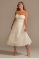 Lace Applique Tea-Length Plus Size Wedding Dress  8CWG903