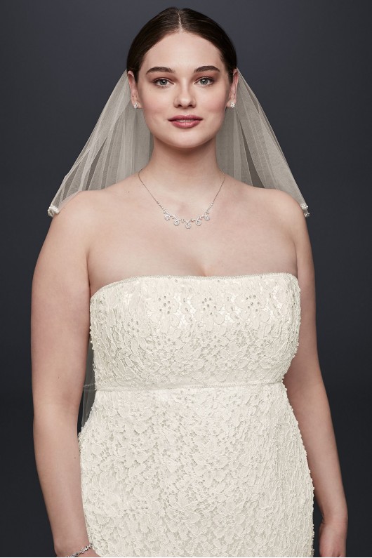 Lace Empire Waist  Plus Size Wedding Dress Galina 9S8551