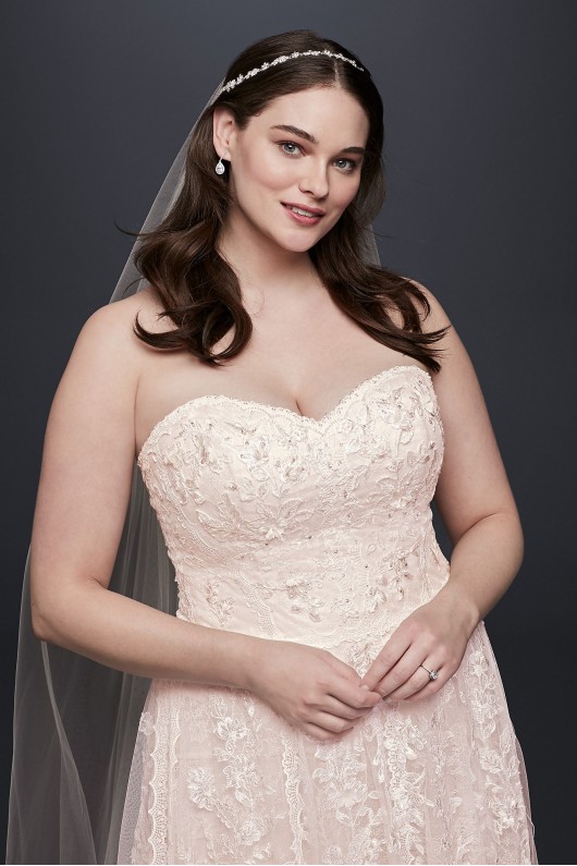 Melissa Sweet  Lace A-Line Plus Size Wedding Dress Melissa Sweet 8MS251174