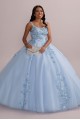 Metallic Floral Glitter Tulle Quince Ball Gown Fifteen Roses FR2114