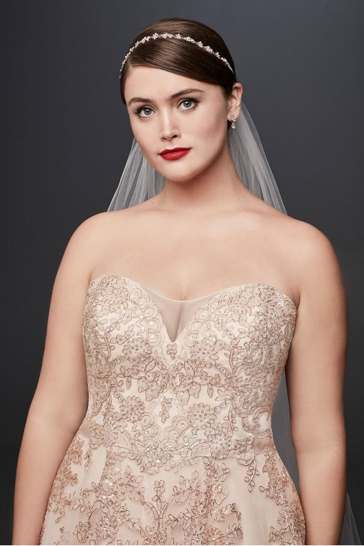 Metallic Lace Plus Size A-Line Wedding Dress  8CWG767