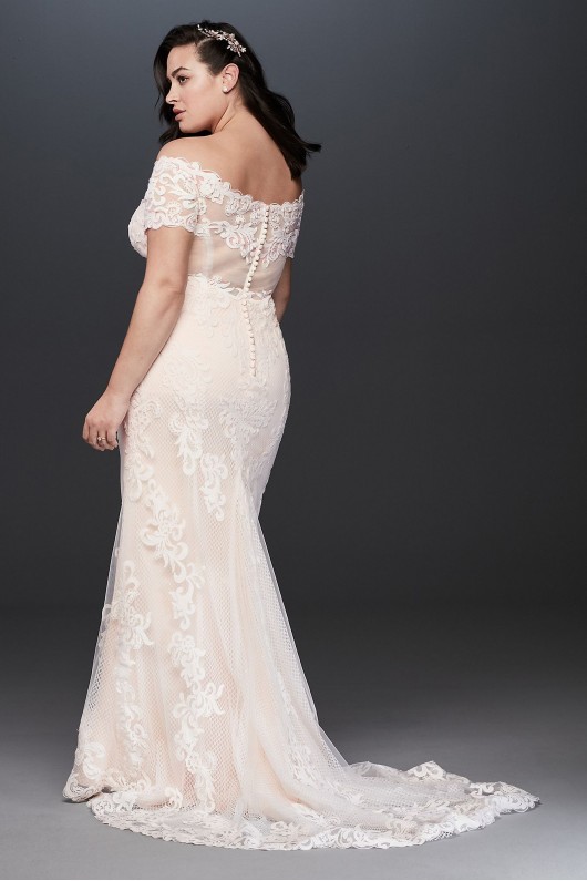 Off the Shoulder Lace Plus Size Wedding Dress Galina 9V3958