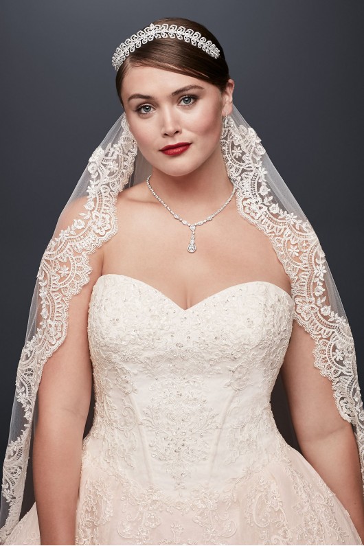 Plus Size Wedding Ball Gown with Lace Appliques  8CWG749