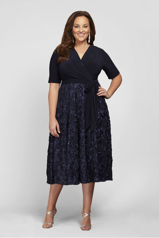 Sequin Lace Jersey Fit-and-Flare Plus Size Dress Alex Evenings 4121465