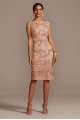Sequin Lace Knee-Length Sheath with Cap Sleeves Alex Evenings 117654D