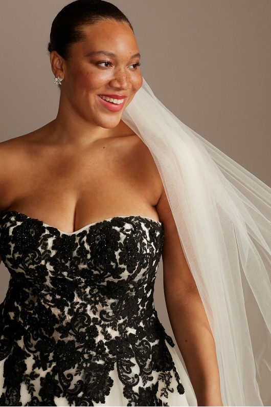 Sheer Lace and Tulle Plus Size Wedding Dress  Collection 9WG3861