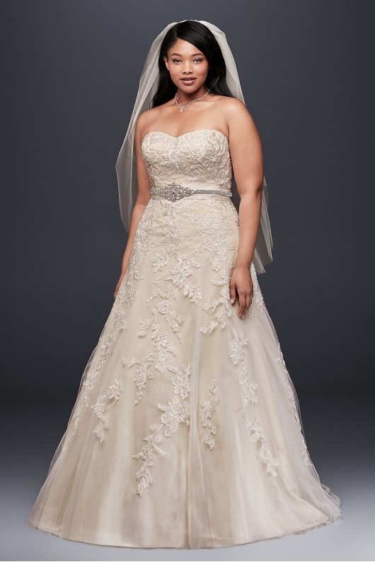 Tulle A-Line Plus Size Wedding Dress with Lace  Collection 9V3587